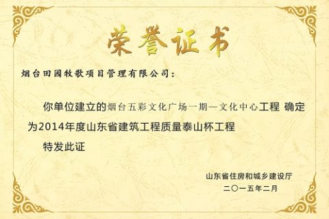 五彩文化广场（文化中心工程）—荣誉证书