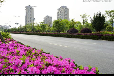 龙口市城市绿化项目（府西路）